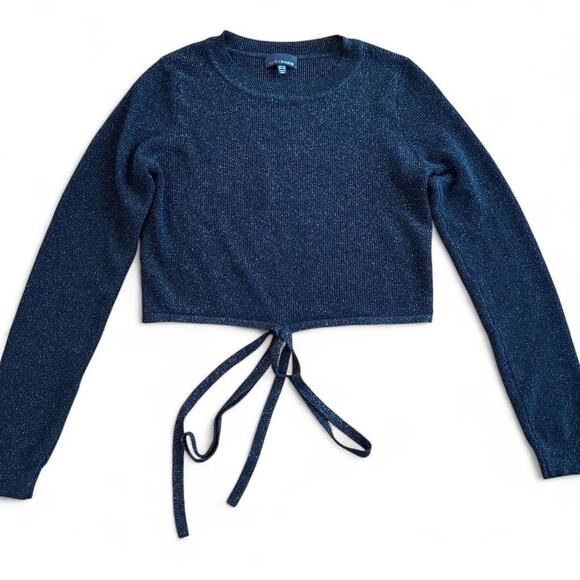 Lucy Paris Cropped Sparkle Sweater - Picture 1 of 3